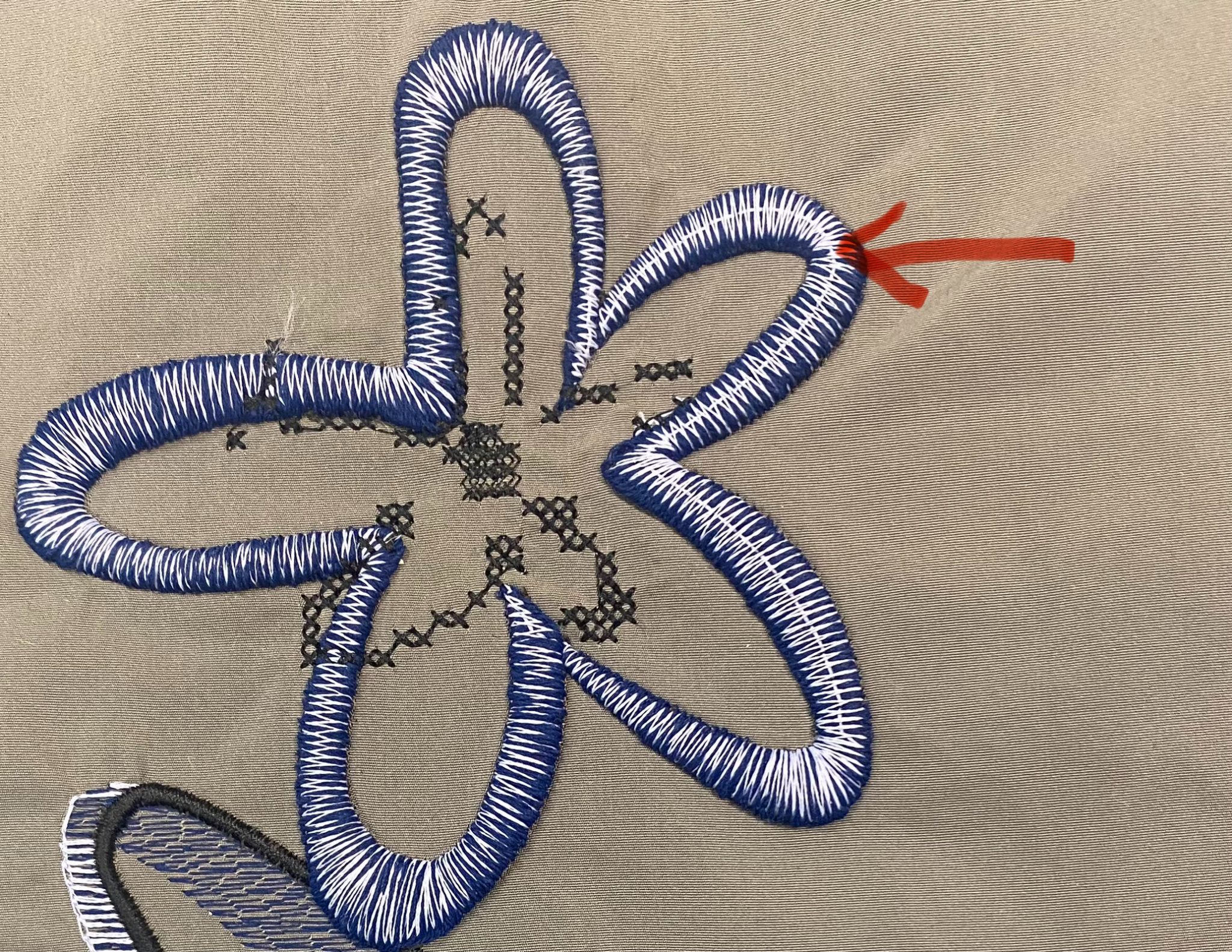 Case Study 3: Assessing learning and exchanging feedback – pgcert beth ...